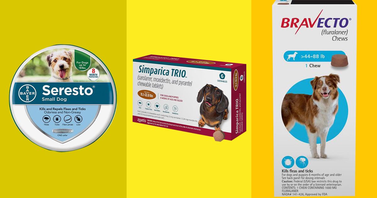 whats the best flea and tick pill for dogs