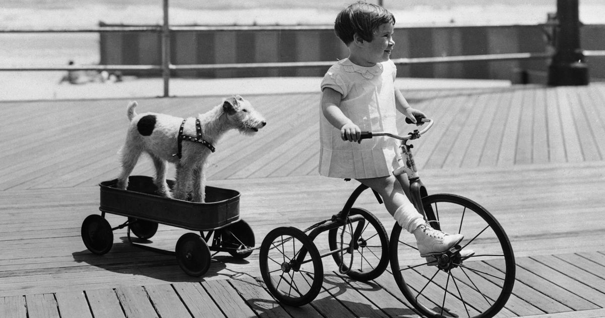 best children's tricycle