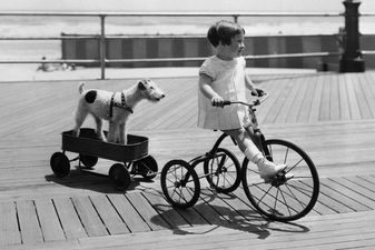 Girl cycling (4-5) with dog on trailer