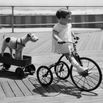 Girl cycling (4-5) with dog on trailer