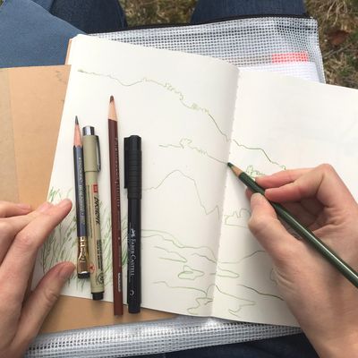 Boy, 11, creates amazingly detailed drawings of natural world