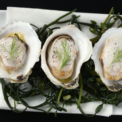 Roasted oysters with pear-parsnip veloute.