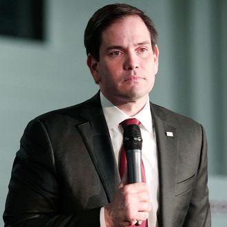Marco Rubio Holds Rally In Michigan On Night Of Nevada Caucuses