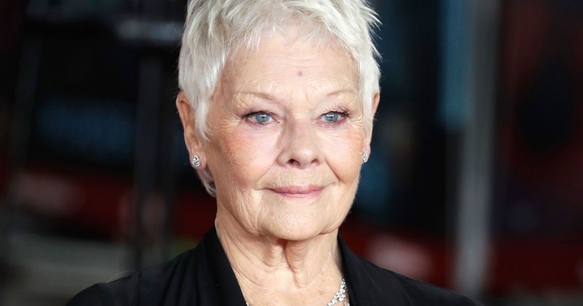 朱迪·丹奇（Judi Dench）將在Artemis Fowl