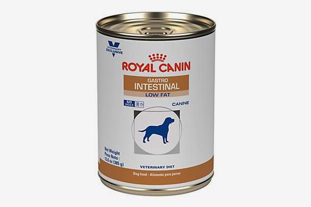 Where to Buy Royal Canin Gastrointestinal Dog Food 