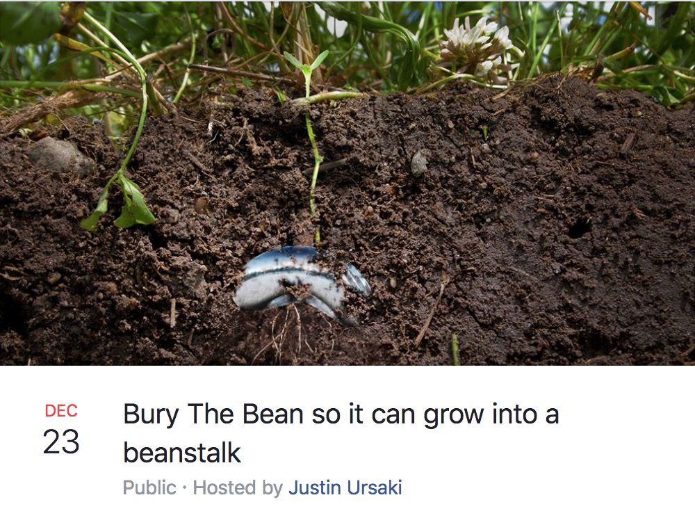 Chicago’s Bean Is the Site of a MonthsLong Meme War