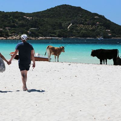 People walking on the beach