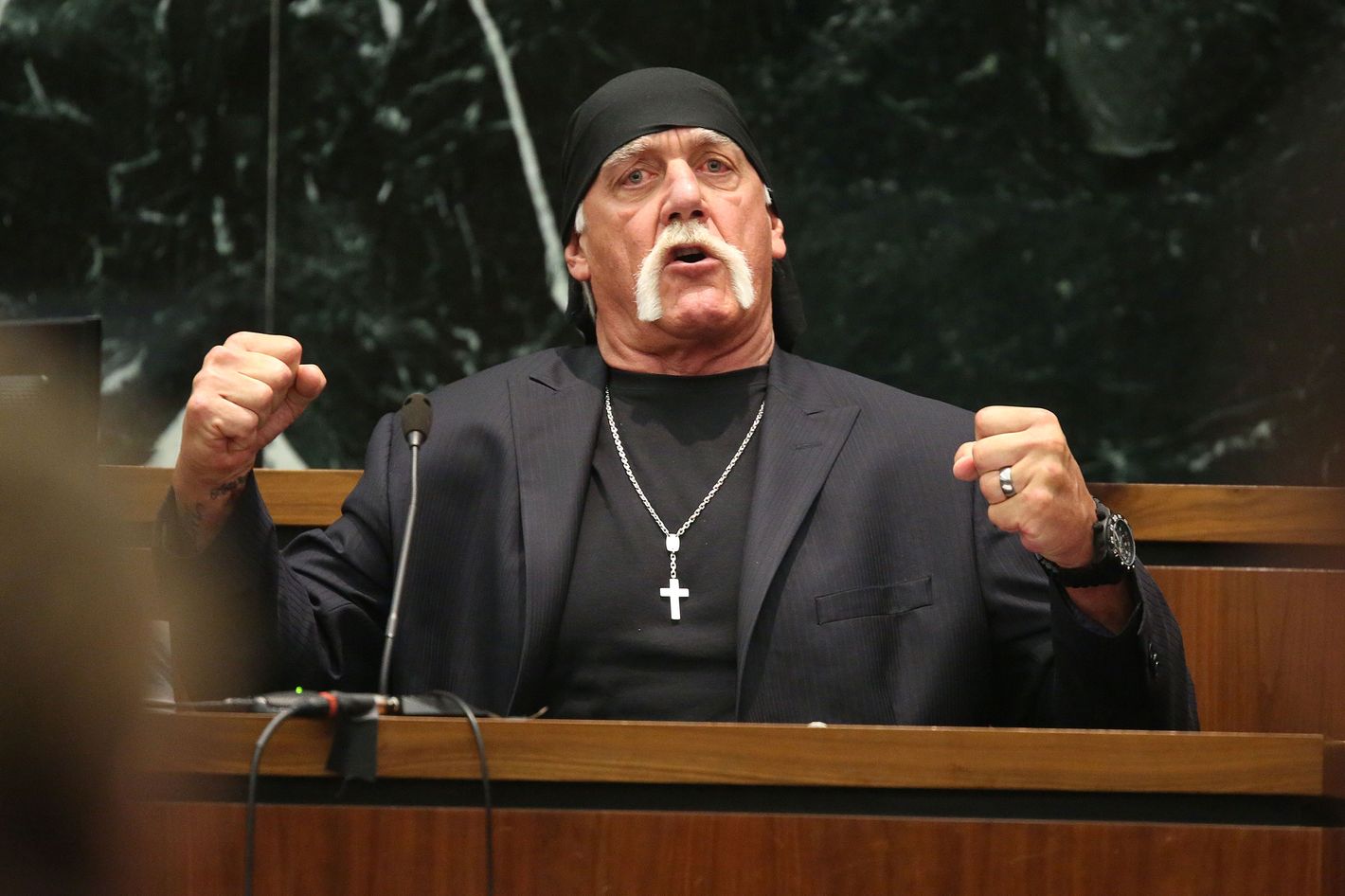 midnat Fremmedgøre cafeteria Hulk Hogan Is Suing Gawker Again, Says It Leaked His Racist Comments