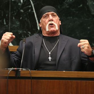 Hulk Hogan, Terry Bollea