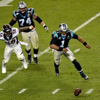 Super Bowl 50 - Carolina Panthers v Denver Broncos