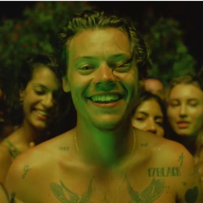 Harry Styles - Lights Up (Music Video Fill With Naked 
