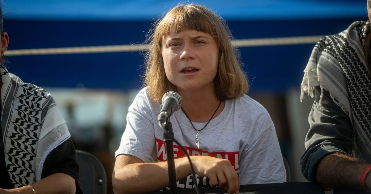Greta Thunberg Alleges 'Torture' After Israeli Detention, Calls Out 'Genocide' in Gaza