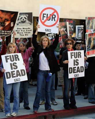 Fur protesters in Beverly Hills.