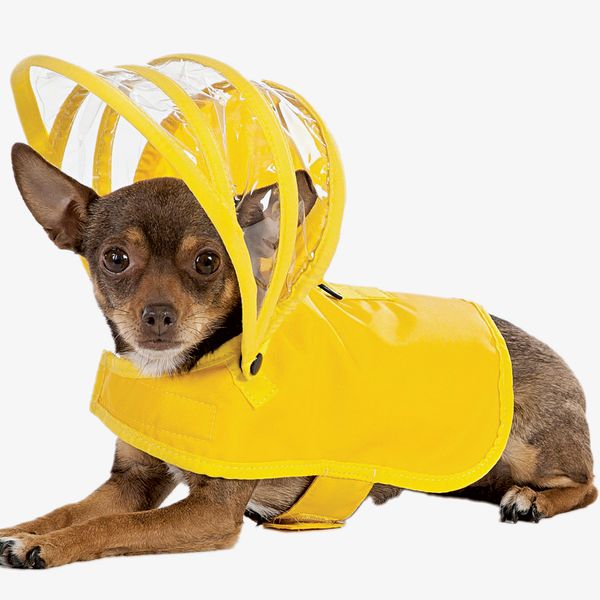 Push Pushi Dog Raincoat