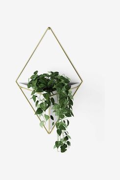 Umbra Trigg Hanging Planter Vase & Geometric Wall Decor