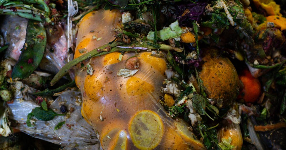 Where Does New York City’s Smart Bin Compost End Up?