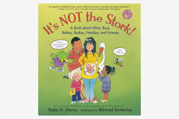 It’s Not the Stork!: A Book About Girls, Boys, Babies, Bodies, Families, and Friends