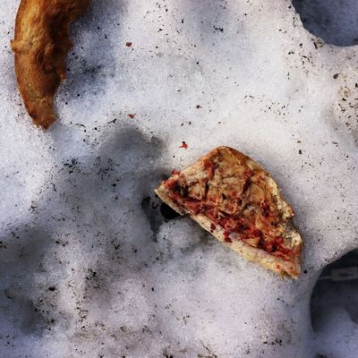 NEW YORK, NY - FEBRUARY 20: A slice of pizza is viewed on top of a melting mound of snow as temperatures in New York City reach into the mid 40's revealing trash that's been buried for weeks on February 20, 2014 in New York City. After weeks of bitter cold weather and heavy snow, New York and much of the Northeast got a break from winter with sun and warming temperatures. The forecast calls for temperatures to remain warm through the weekend before falling back down next week. (Photo by Spencer Platt/Getty Images)