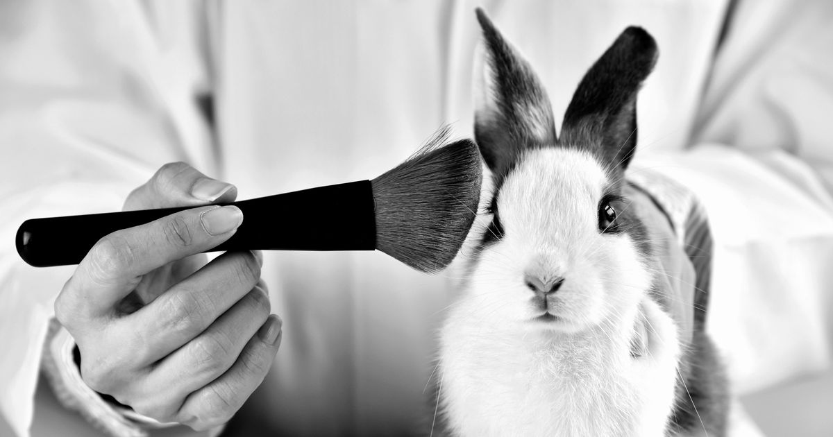 cosmetic-animal-testing-is-now-banned-in-these-three-states