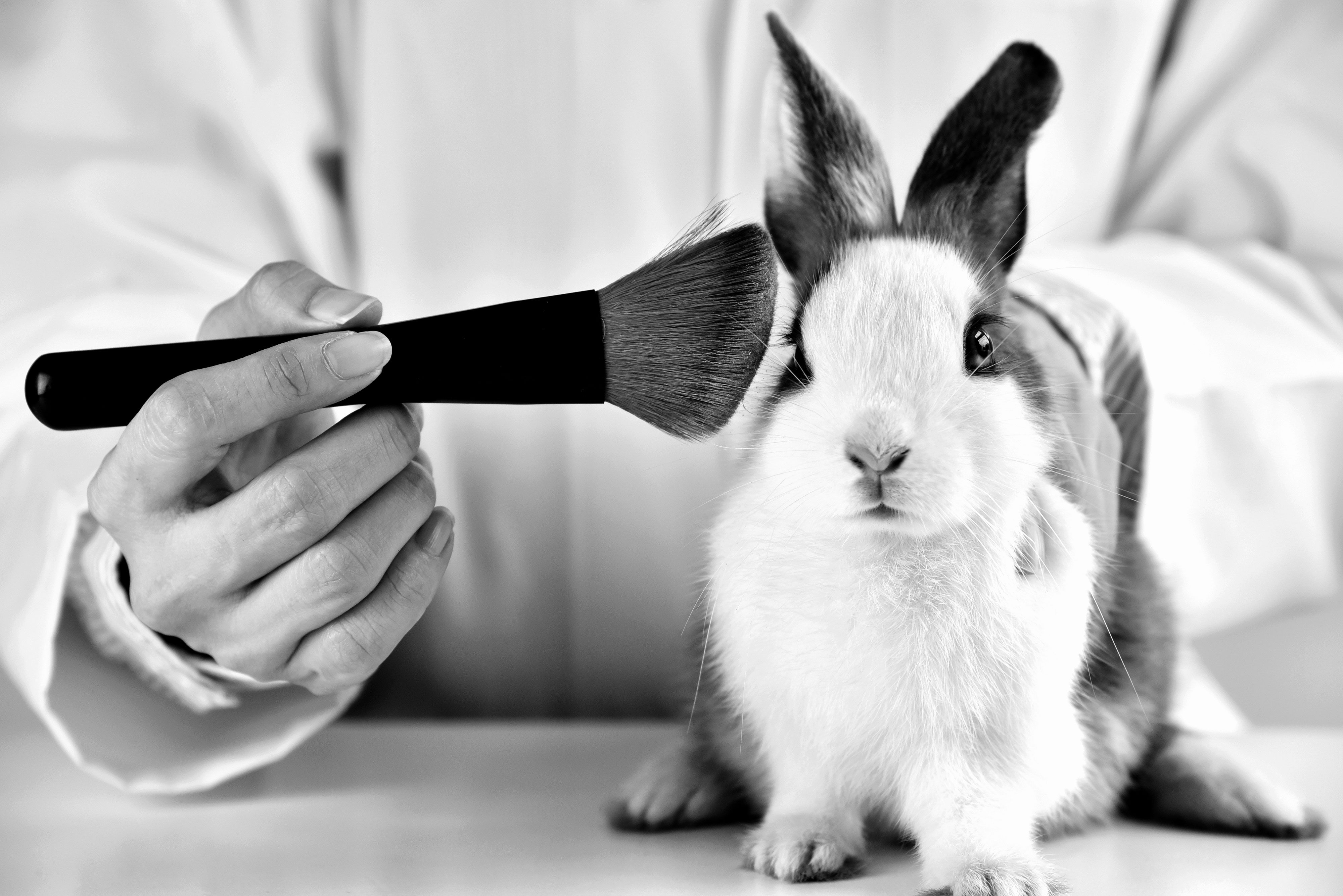 Cosmetic Animal Testing Is Now Banned In These Three States
