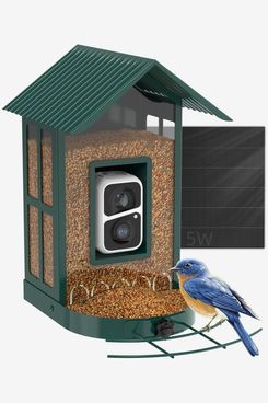 Soliom BF08 Bird Feeder with Camera