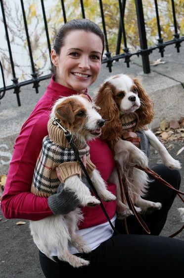 "Year after year, twentysomething-in-dog-years spaniels come to New York City for the two Ls: labels (in this case, Burberry) and leash-free dog parks." —Carrie Bradshaw