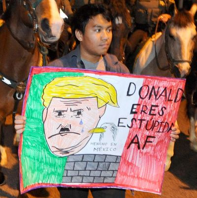 Donald Trump protest