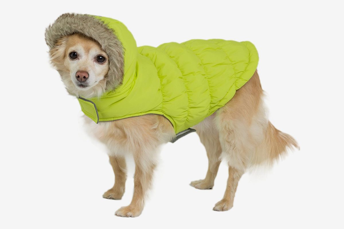 puffy dog jacket