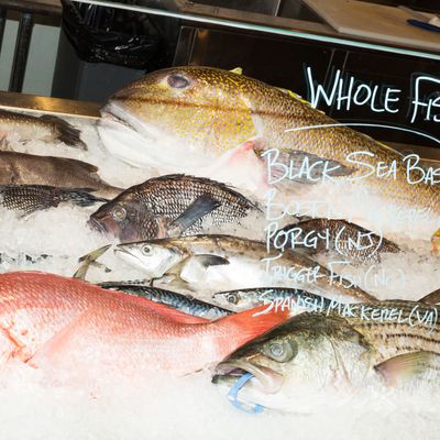 Pen Shell - Monterey Fish Market Seafood Index — Monterey Fish Market
