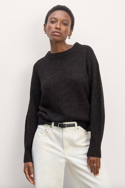 Everlane Cocoon Crew in Alpaca