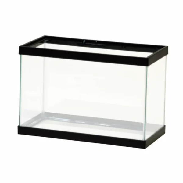 Aqueon Standard Open-Glass Glass Aquarium Tank, 5.5 Gallon