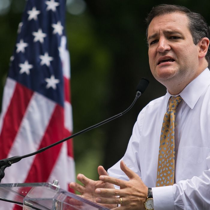 Sen. Ted Cruz (R-TX) speaks about immigration during the DC March for Jobs in Upper Senate Park near Capitol Hill, on July 15, 2013 in Washington, DC. Conservative activists and supporters rallied against the Senate's immigration legislation and the impact illegal immigration has on reduced wages and employment opportunities for some Americans.