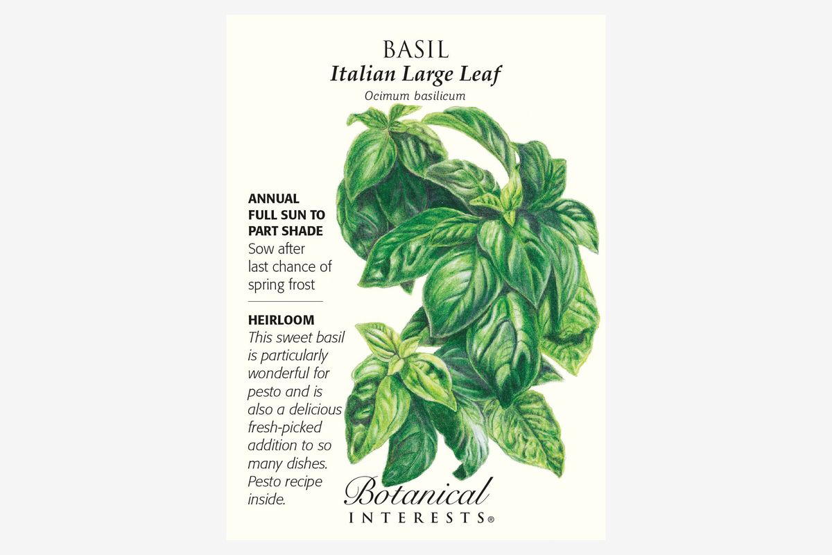 Basil Herb Seeds Basil Smaragd Herbal For Kitchen Pot Garden Pictorial Packet UK 