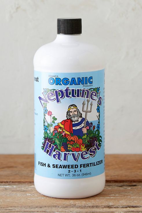 Concentrado de fertilizante de algas marinas 2-3-1 de Neptune's Harvest Organic Fish