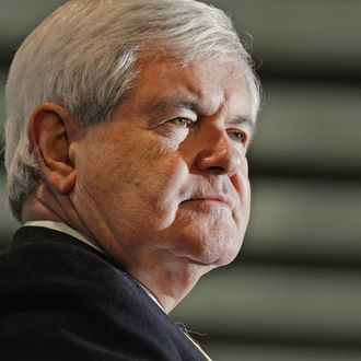 TAMPA, FL - JANUARY 30: Republican presidential candidate, former Speaker of the House Newt Gingrich (R-GA) addresses a campaign rally at the Tampa Jet Center January 30, 2012 in Tampa, Florida. Gingrich and fellow candidate, former Massachusetts Gov. Mitt Romney are criss-crossing Florida on the last full day of campaigning before the January 31 primary. (Photo by Chip Somodevilla/Getty Images)