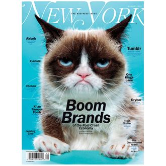 Grumpy Cat's Death Marks the End of the Joyful Internet