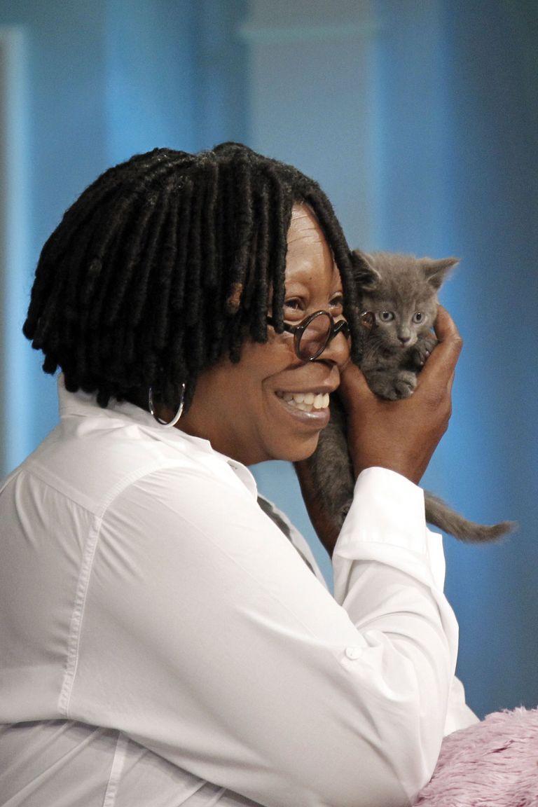 The 50 Most Fabulous (and Famous) Cat Ladies of All Time