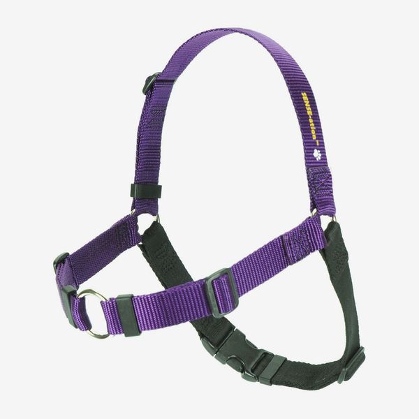 Softouch The Original SENSE-ation No-Pull Dog Training Harness