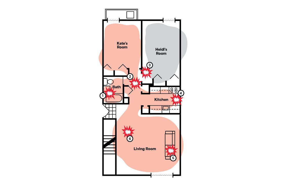 The Nightmare Apartment Share in picture