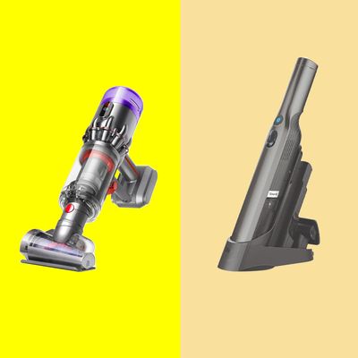 The 5 Best Handheld Vacuums and Dustbusters of 2024, Tested and