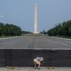 Trump's Reflecting Pool Makeover Needs Speedy Review, Group Says