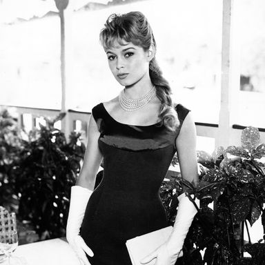 The Brigitte Bardot Look Book