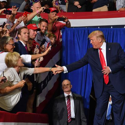 President Donald Trump greets supporters at his rally in Greenville, North Carolina.