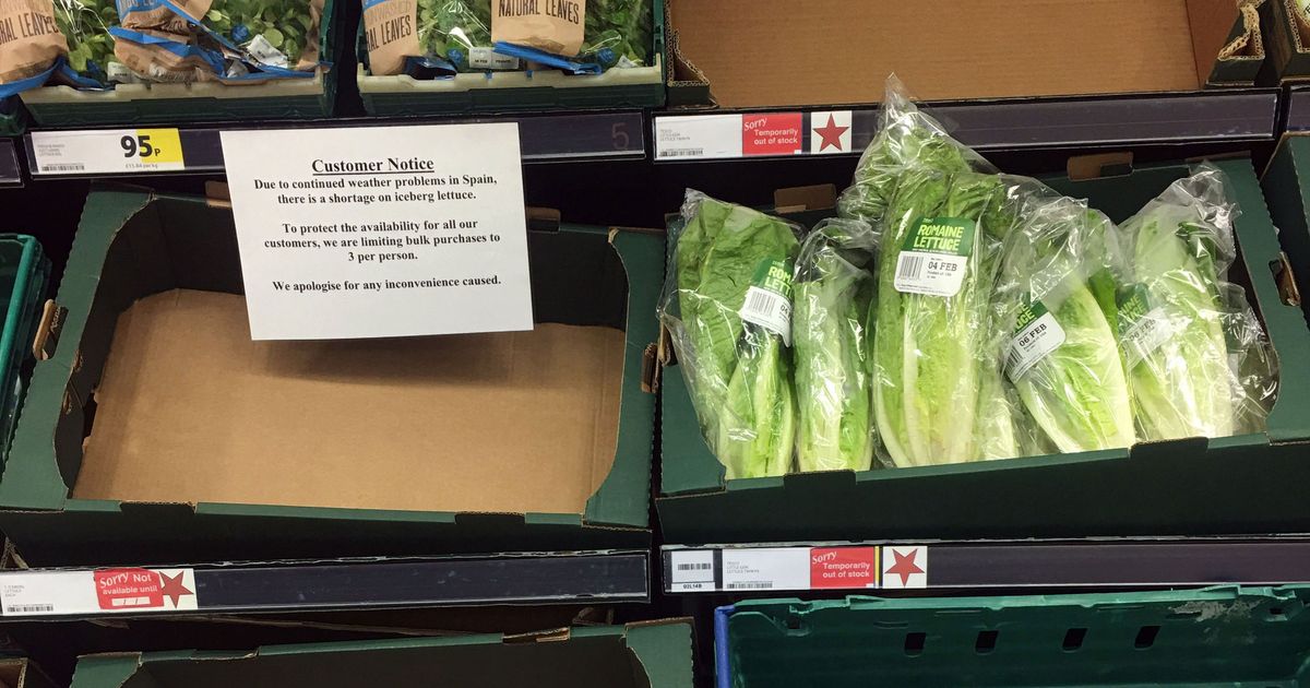 British Supermarkets Have Started Rationing Vegetables