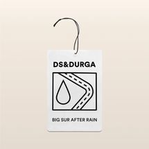D.S. & Durga Big Sur After Rain Auto Fragrance