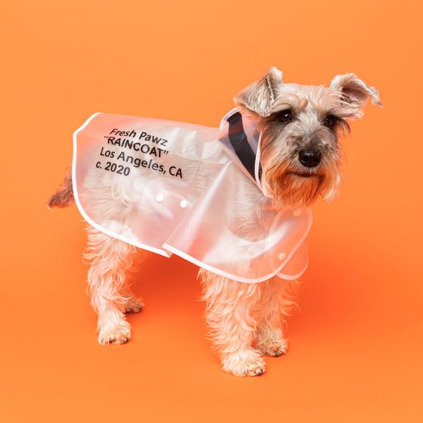 Chaqueta impermeable con comillas de Fresh Pawz