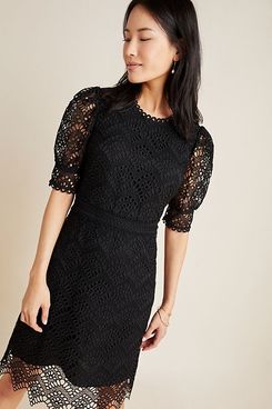 Shoshanna Lucy Lace Mini Dress