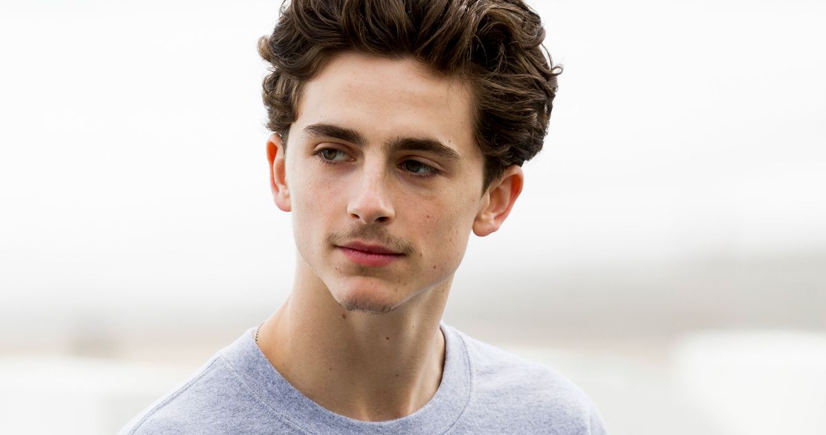 蒂莫西·柴勒梅德 (Timothée Chalamet) 是 2018 年最佳電影明星