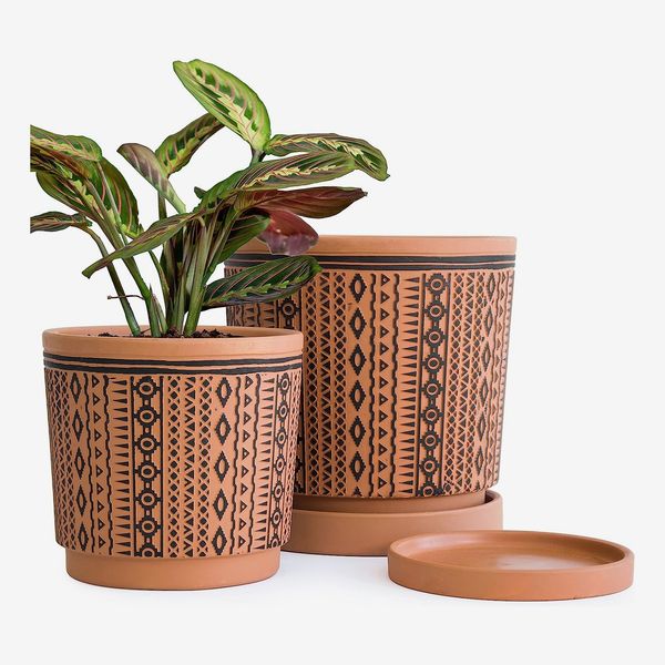 46 Best Pots and Planters on  2023