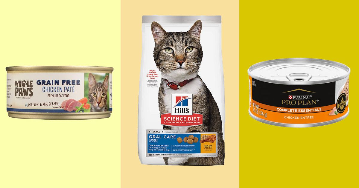 16 Best Cat Foods 2023 | The Strategist